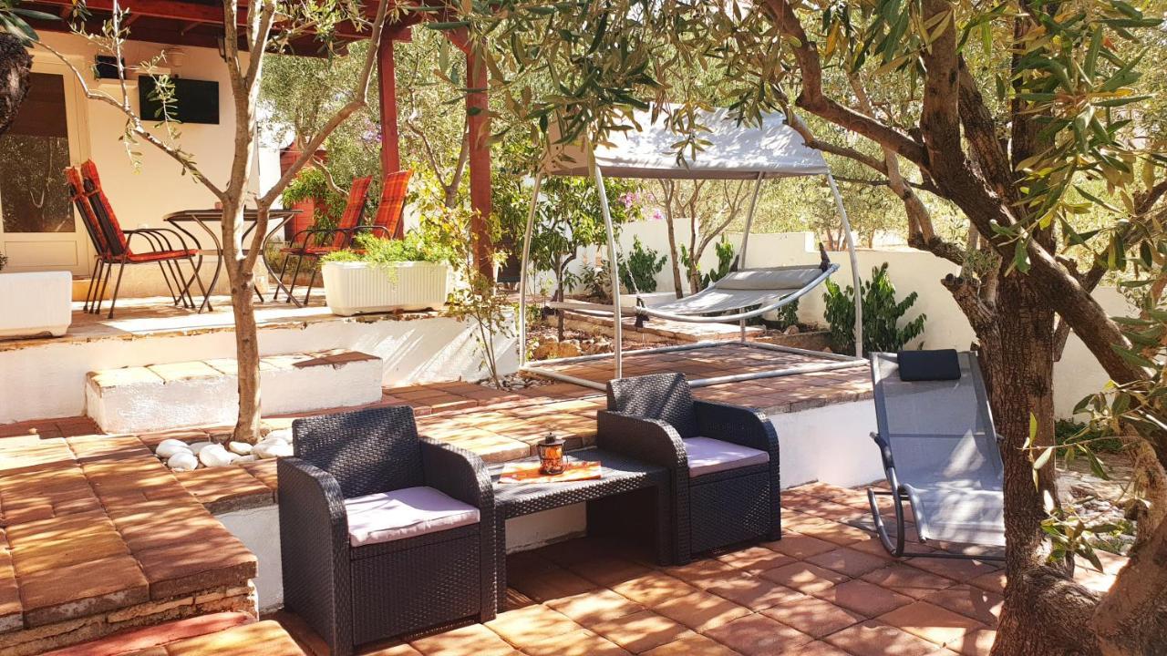 הוילה סטארי גראד House Oliva With Private Pool And Large Garden מראה חיצוני תמונה