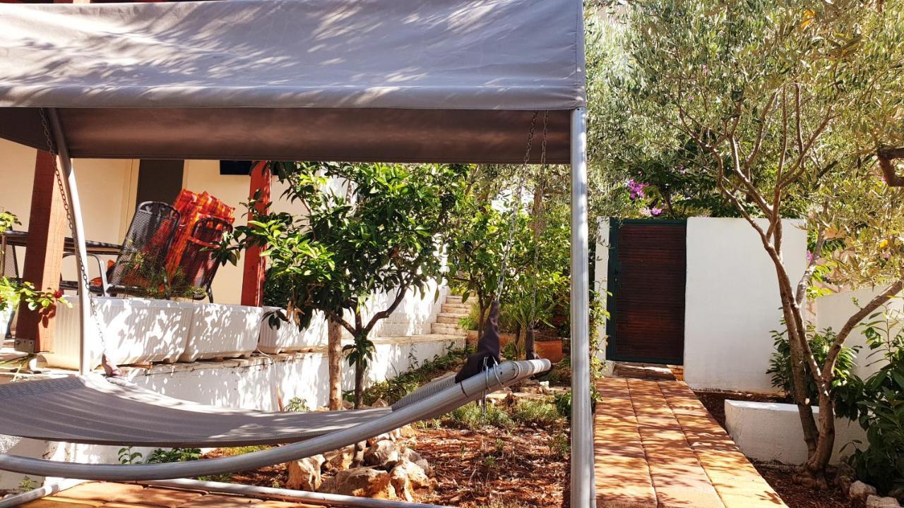 הוילה סטארי גראד House Oliva With Private Pool And Large Garden מראה חיצוני תמונה