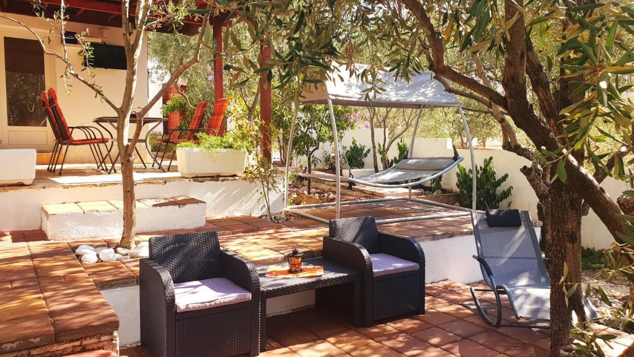 הוילה סטארי גראד House Oliva With Private Pool And Large Garden מראה חיצוני תמונה